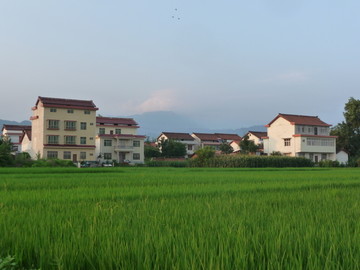 新农村