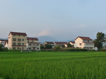 新农村