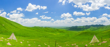 甘肃甘南大草原全景大画幅