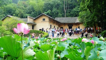 韶山