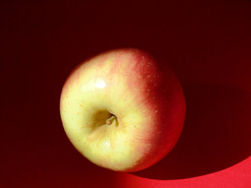 苹果创意摄影