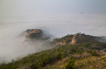 山东青岛崂山浮山森林公园云海