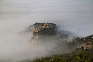 山东青岛崂山浮山森林公园云海