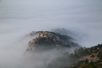 山东青岛崂山浮山森林公园云海