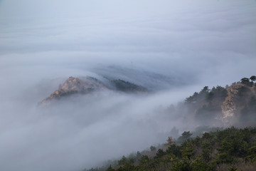 山东青岛崂山浮山森林公园云海