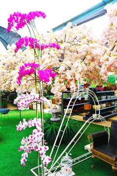 花卉超市