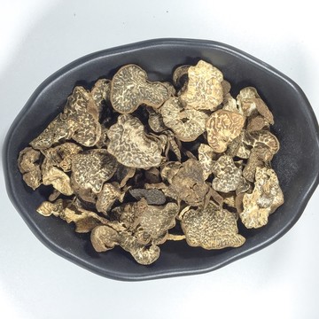 黑松露菌