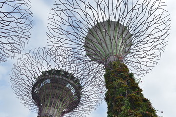 新加坡花园城市空中花园造型