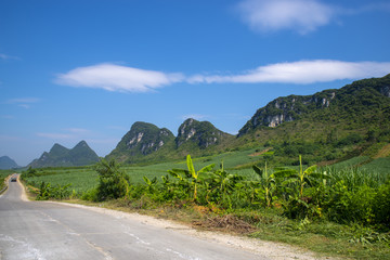 乡村公路