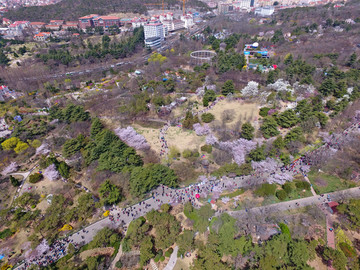 航拍山东青岛中山公园