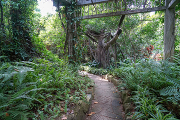 厦门植物园