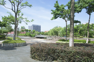 公园植物景观
