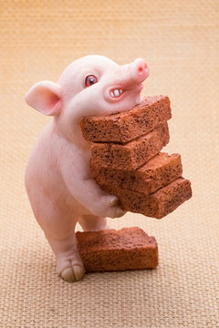 小猪努力搬砖