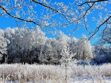 北方冬天冰天雪地雪景树挂雾凇