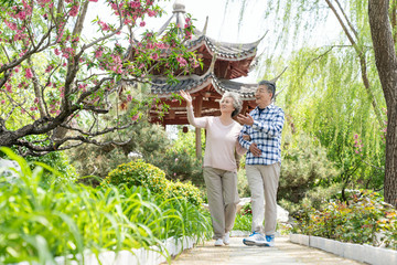 老年夫妻旅游