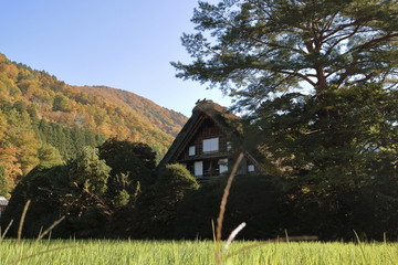 白川村的和田楼