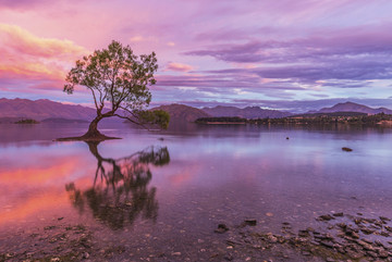 新西兰瓦纳卡湖
