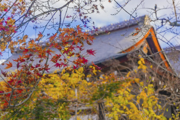 日本常寂光寺