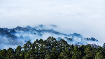 醉美川西王岗坪