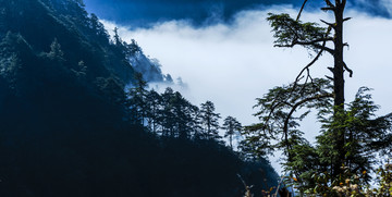 醉美川西王岗坪
