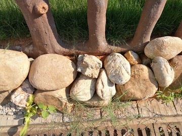 鹅卵石和围栏
