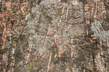 东岳泰山岩石纹理