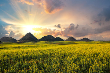 中国云南罗平金鸡峰丛油菜花海日