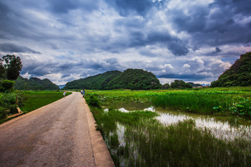 普者黑湿地景观