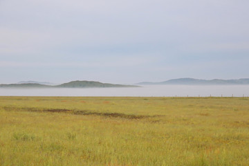 草原上的晨雾美景