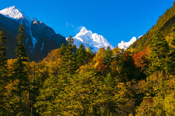 雨崩村面茨姆峰