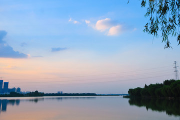 金银湖湿地