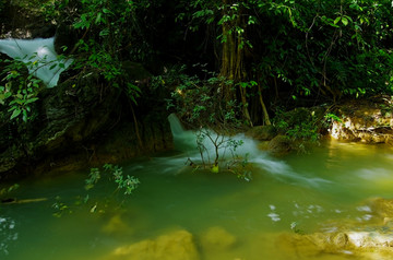 热带雨林溪流