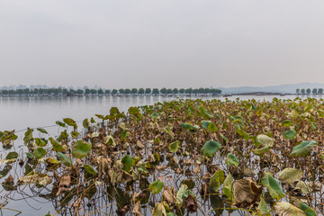 杭州西湖