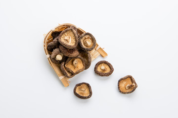 食用菌