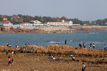 青岛海滨