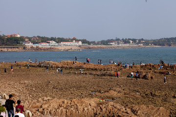 青岛海滨