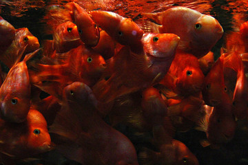 北京海洋馆水族馆