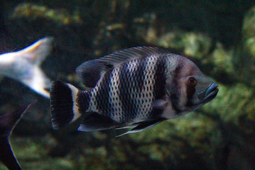 北京海洋馆水族馆