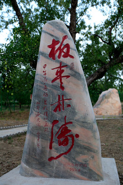 板枣林海