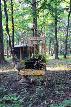 树林废弃鸟笼子