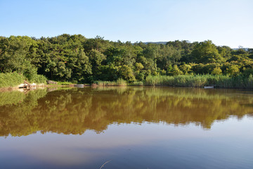 黄昏湖畔