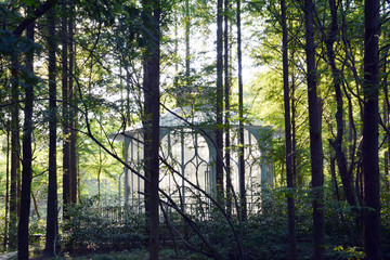 林中神秘小屋