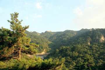 黄山景区黄山风景风光