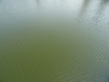 水面