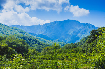 夏日山岭风光