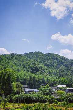 夏日山岭风光