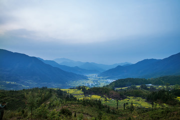 江岭梯田油菜花