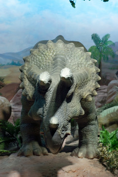 恐龙标本