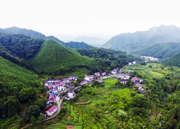 鸟瞰南山