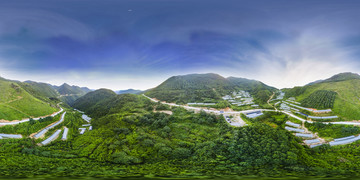 七井八棚高山蔬菜
